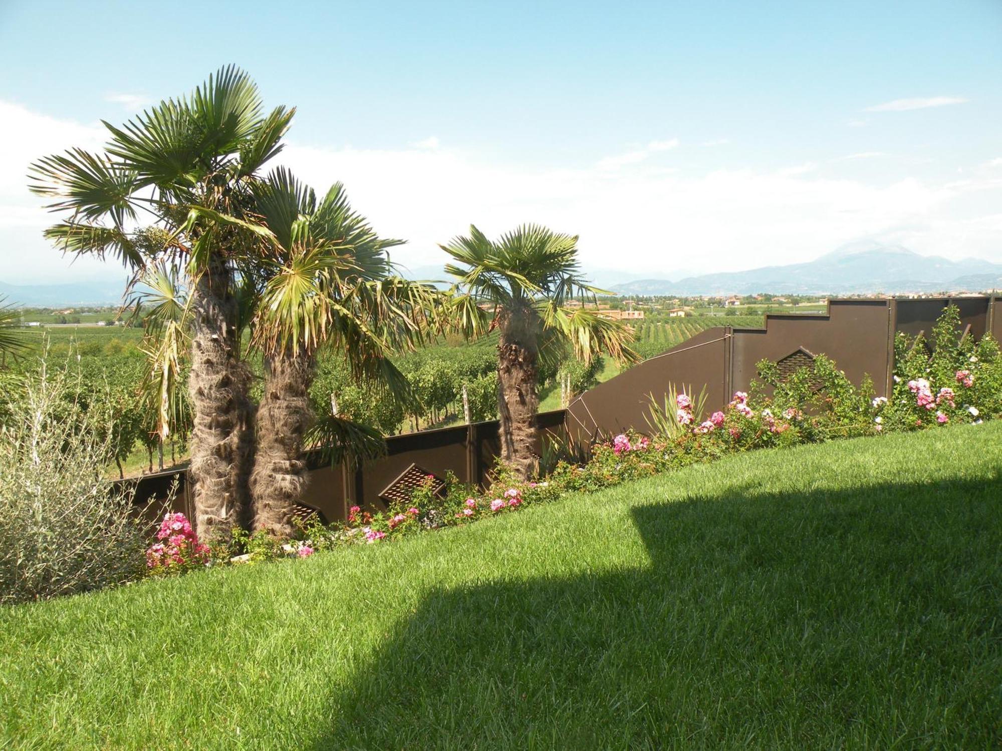 Sweet Life Bed & Breakfast Peschiera del Garda Exterior photo